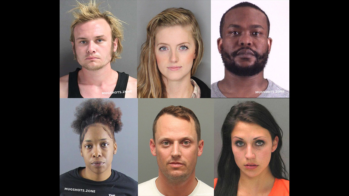 Six Mugshots With An Established, Consistent, And Identifiable Brand